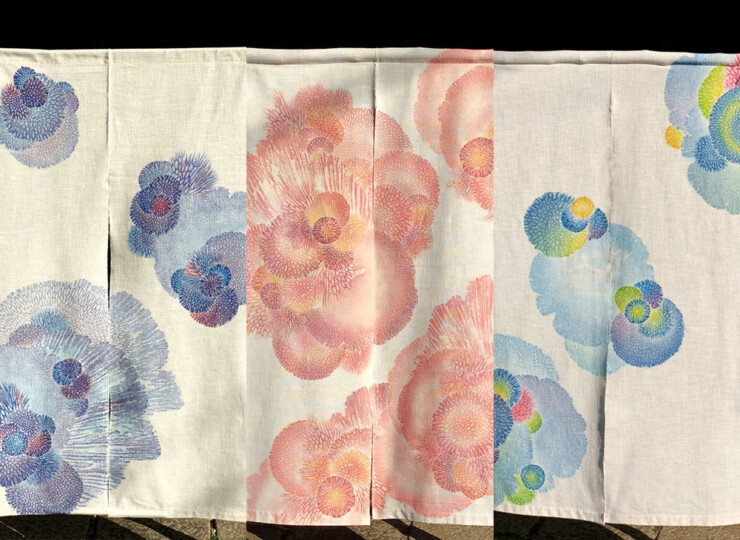 17065_bl