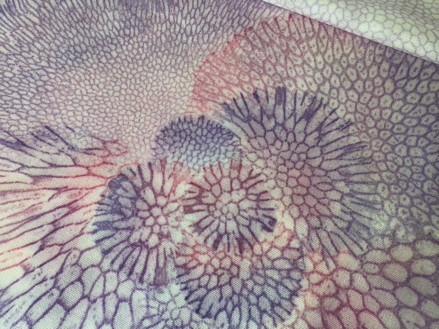 organicscarf_co_pp