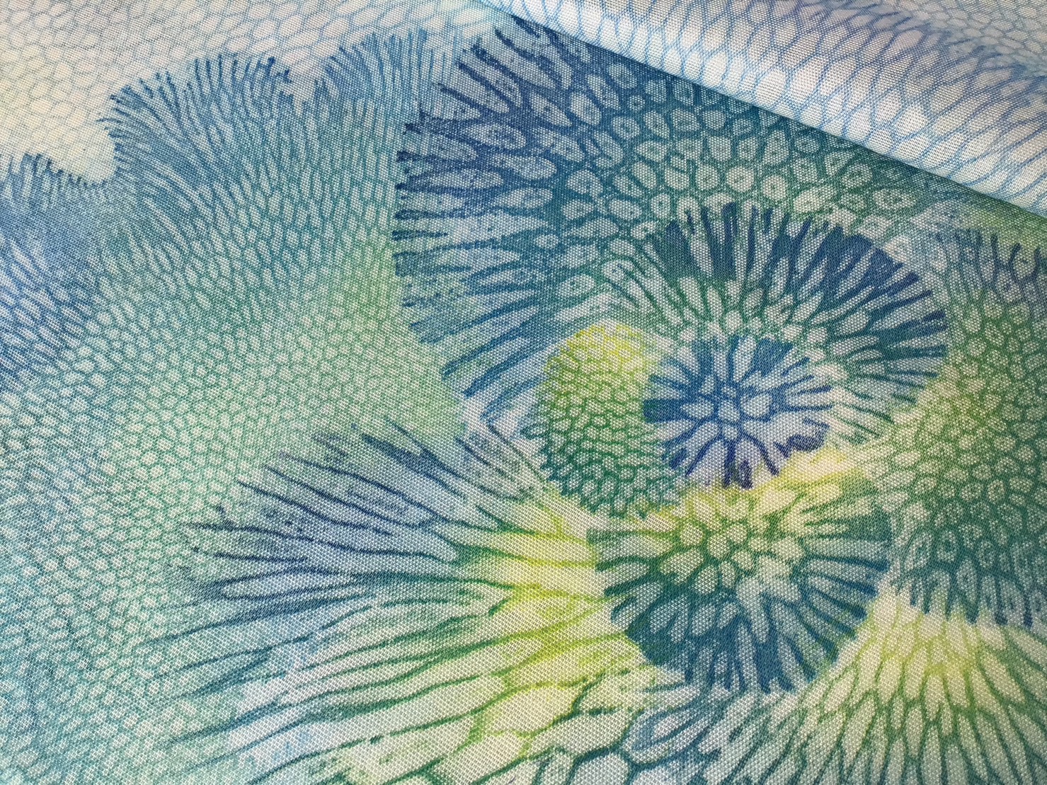 organicscarf_co_blgn