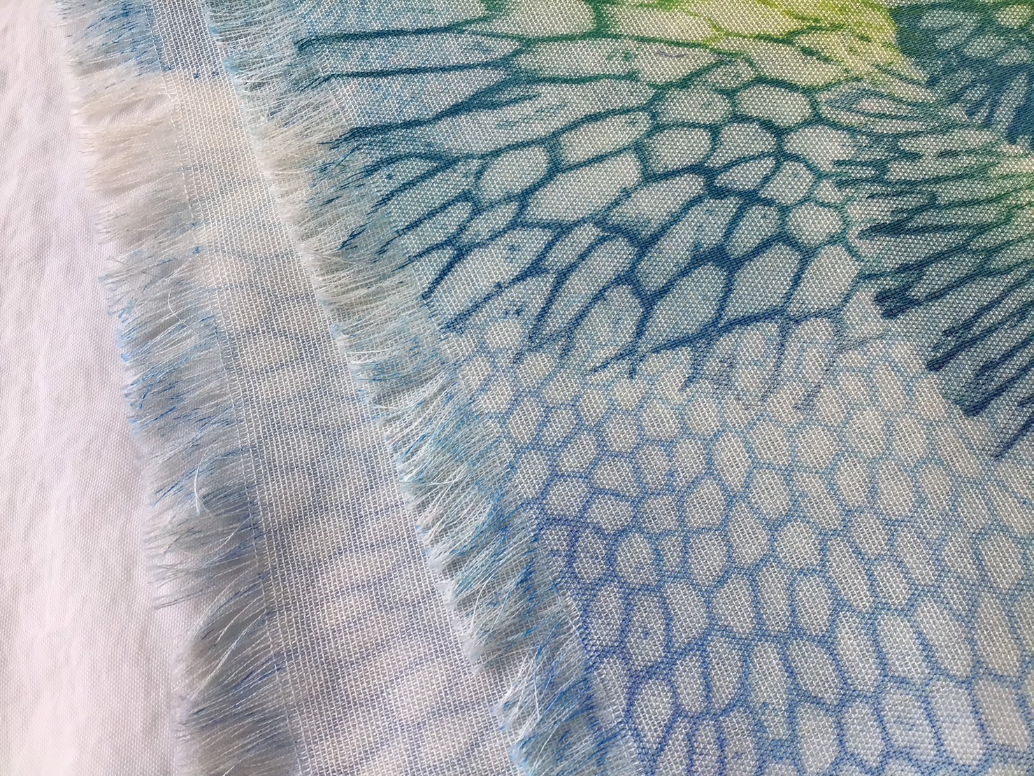organicscarf_co_blgn