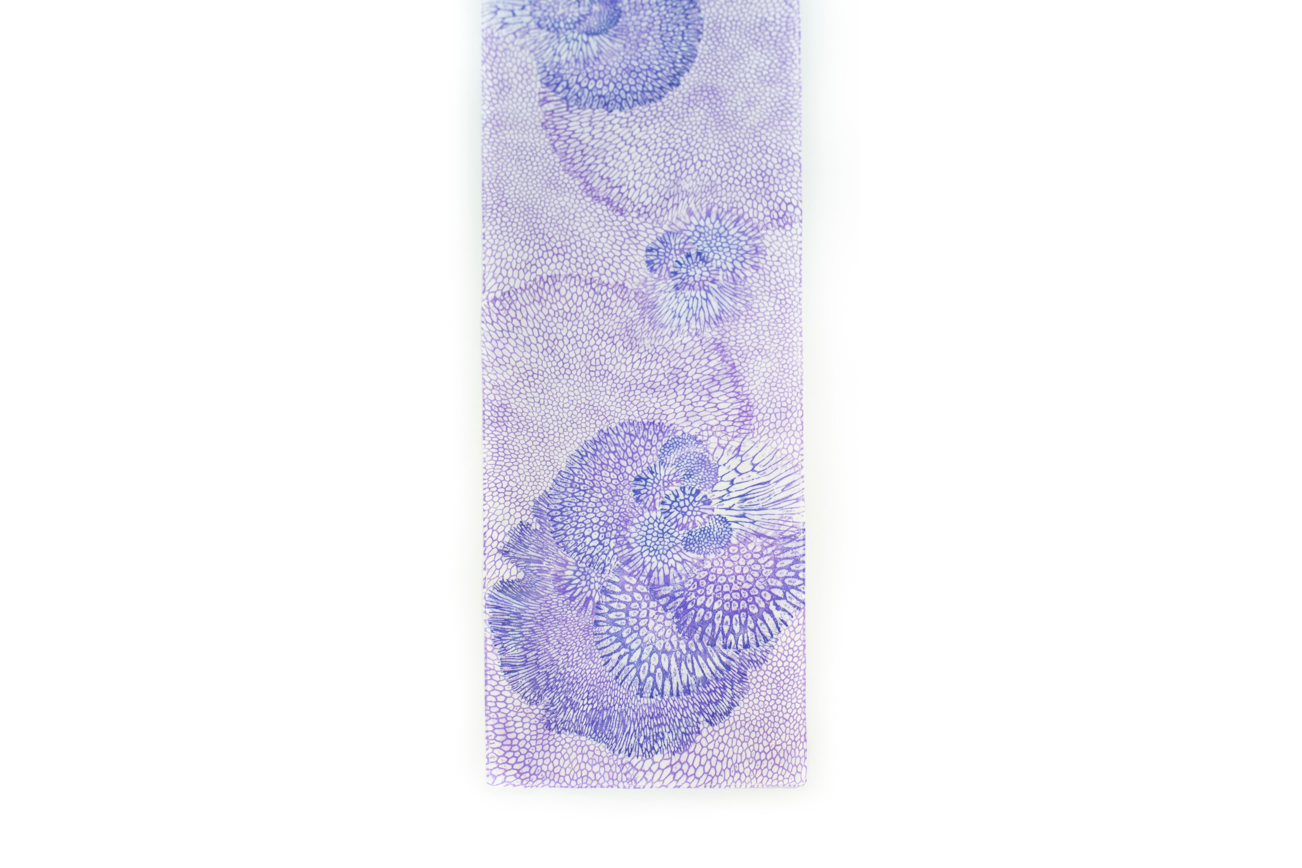 largesilkscarf_co_pp