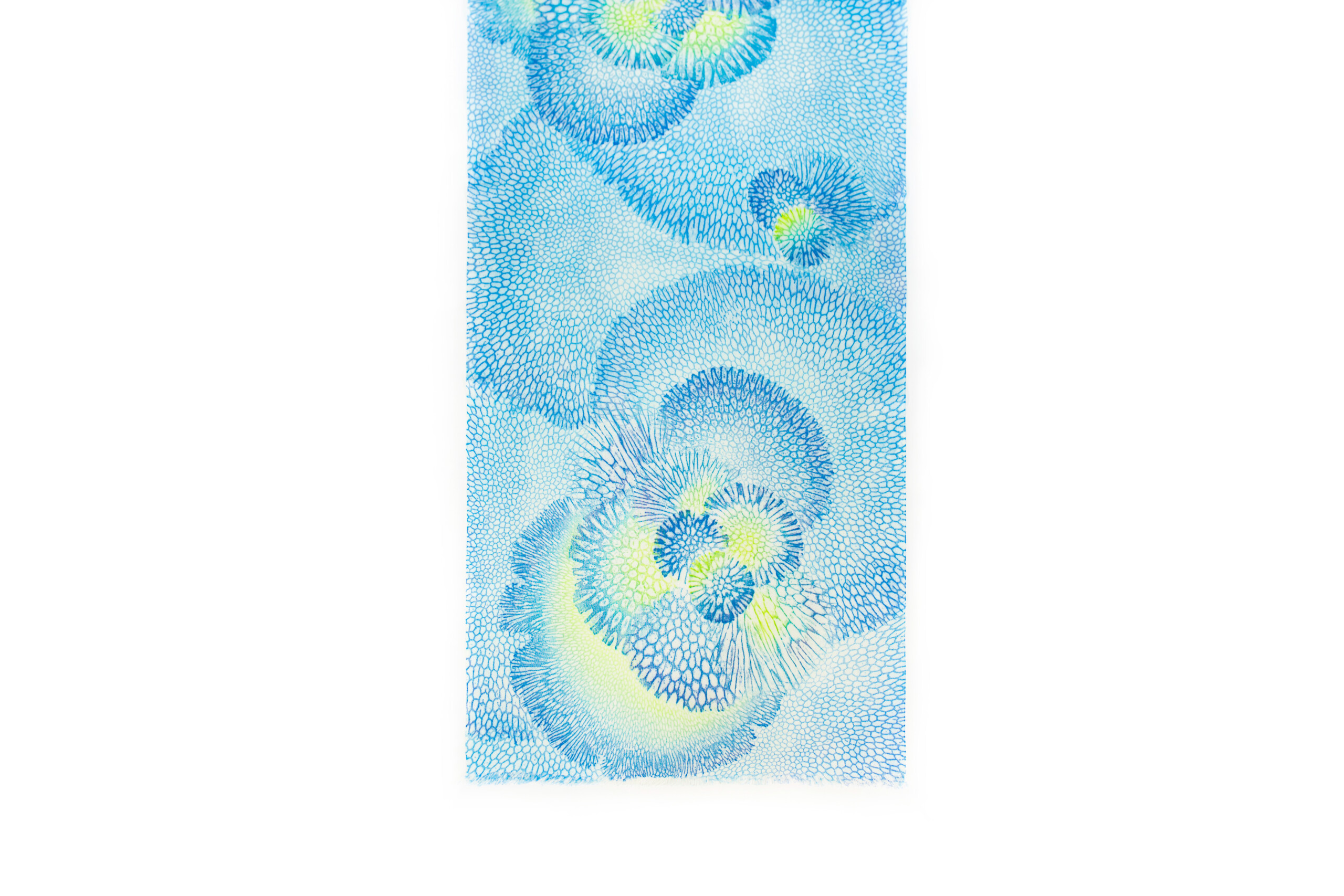 organicscarf_co_blgn